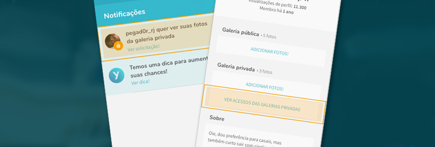 Como gerenciar pedidos e acessos à Galeria Privada